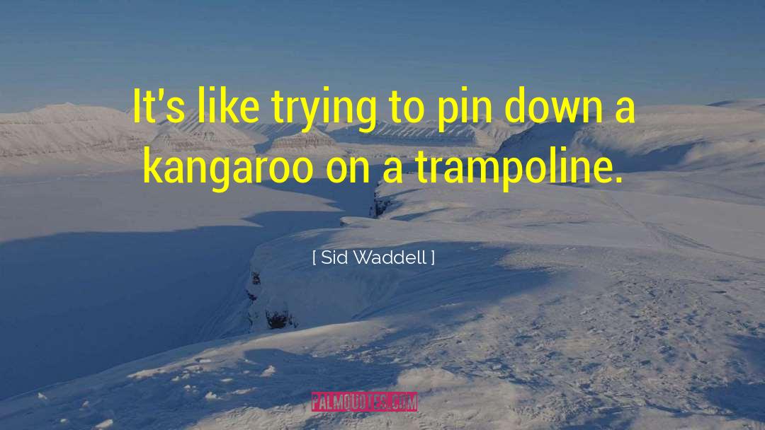 Sid quotes by Sid Waddell