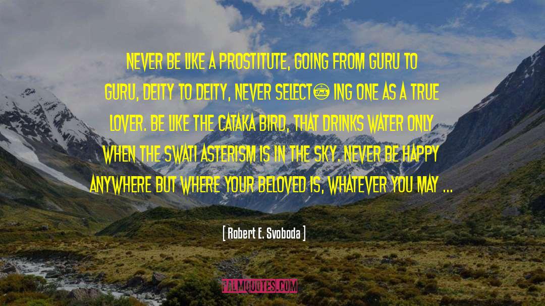 Siddhi quotes by Robert E. Svoboda