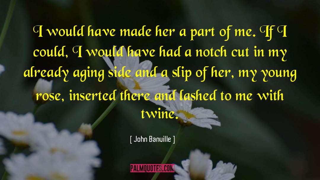 Side Shave quotes by John Banville