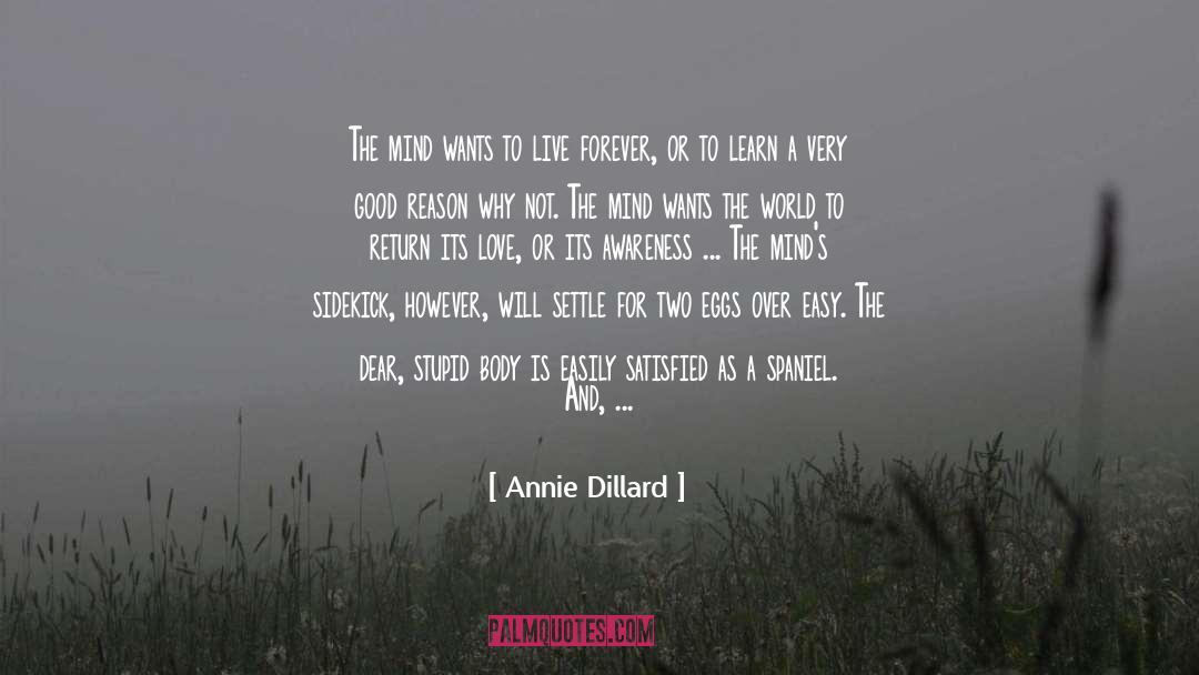 Sidekick quotes by Annie Dillard