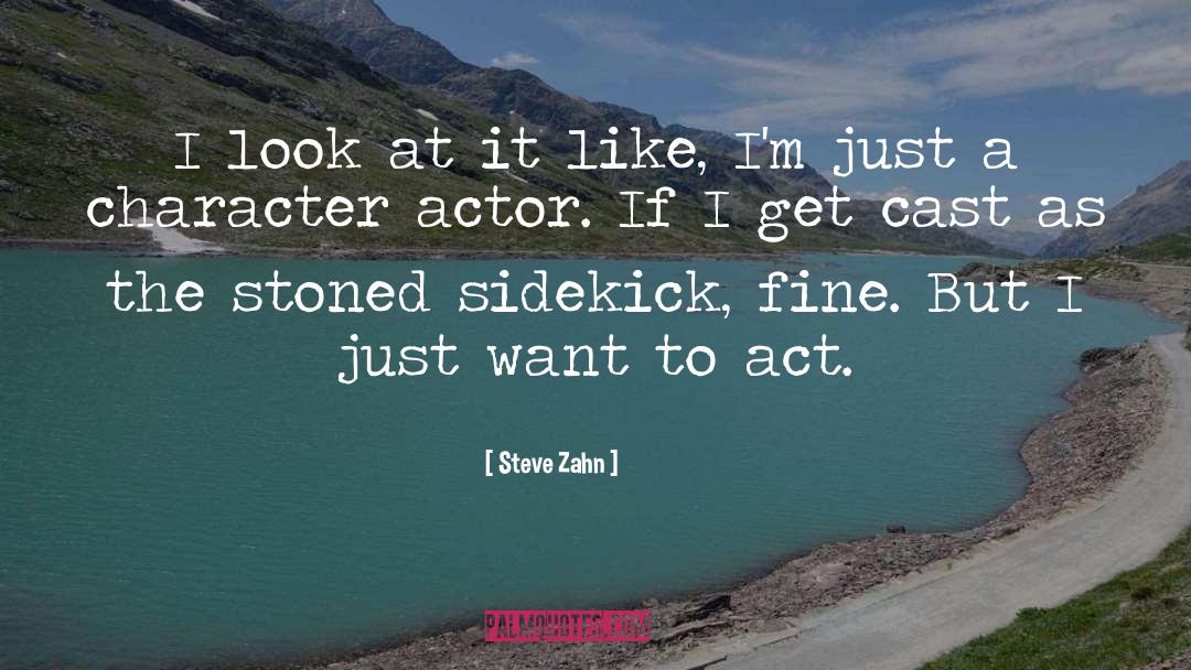 Sidekick quotes by Steve Zahn