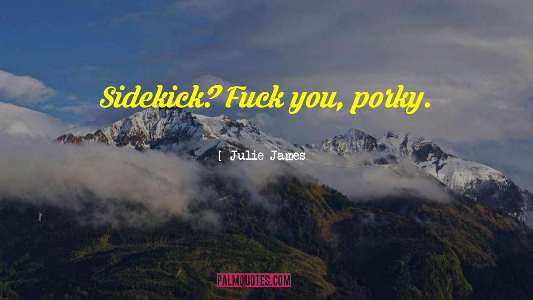 Sidekick quotes by Julie James