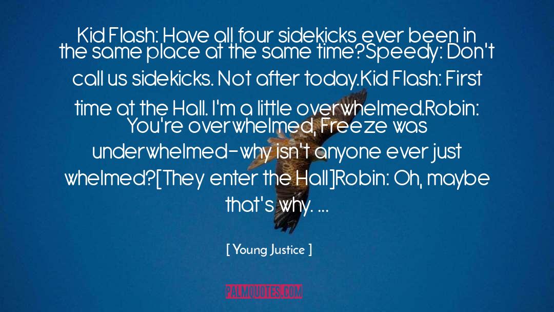 Sidekicks quotes by Young Justice