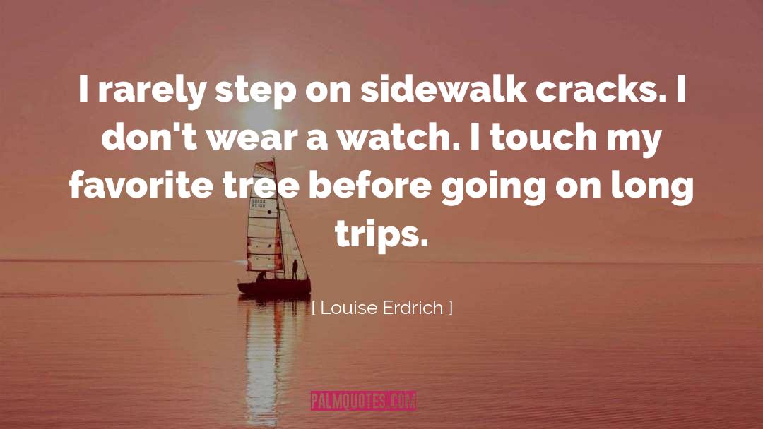 Sidewalk Cracks quotes by Louise Erdrich