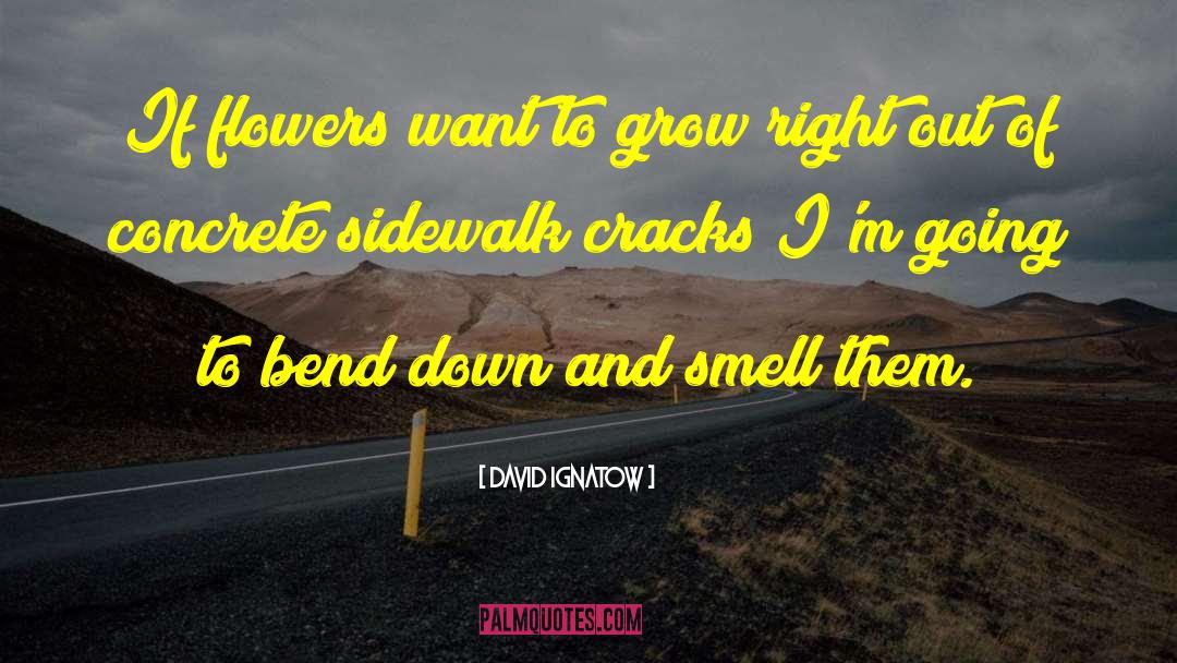 Sidewalk Cracks quotes by David Ignatow