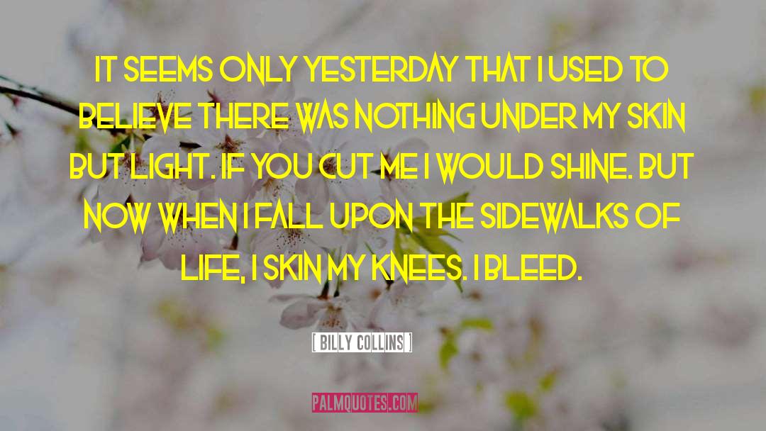 Sidewalks quotes by Billy Collins