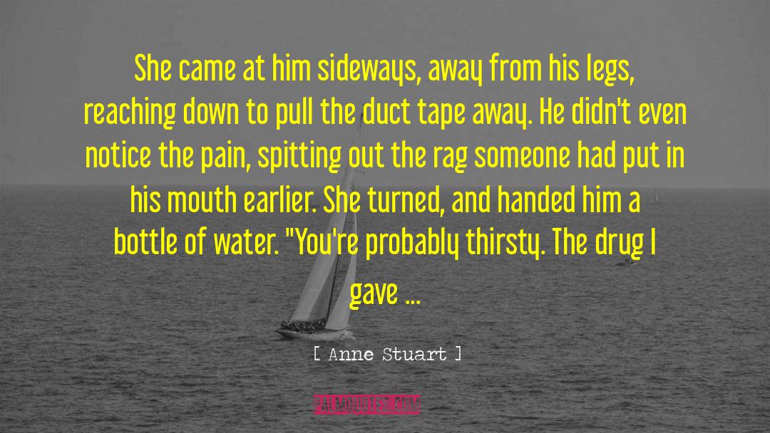 Sideways quotes by Anne Stuart