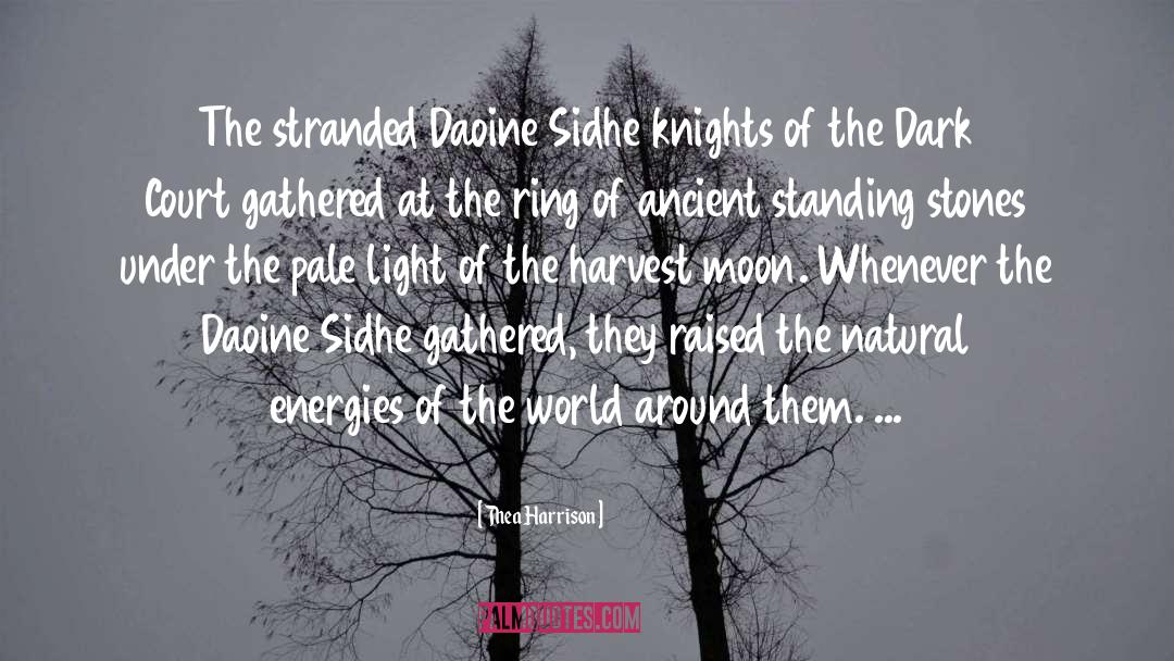 Sidhe quotes by Thea Harrison