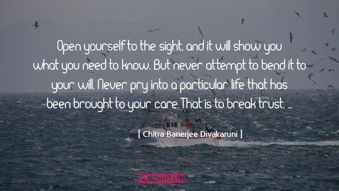Sight Seeing quotes by Chitra Banerjee Divakaruni