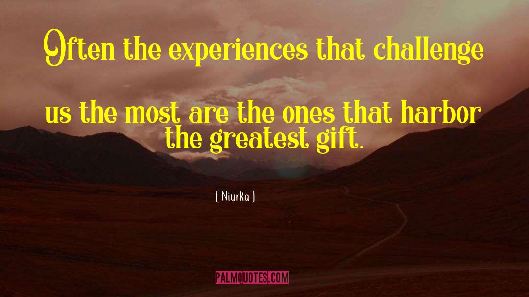 Significant Experiences quotes by Niurka