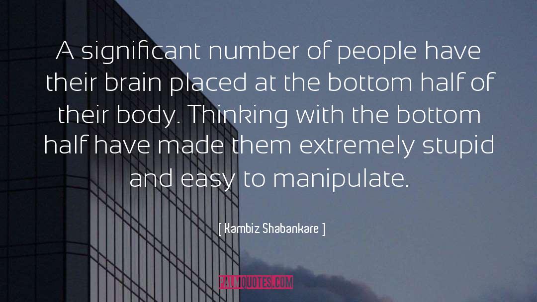 Significant quotes by Kambiz Shabankare