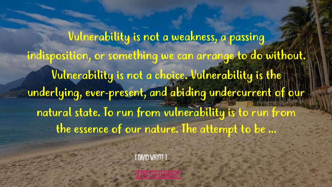 Signs Of Weakness quotes by David Whyte