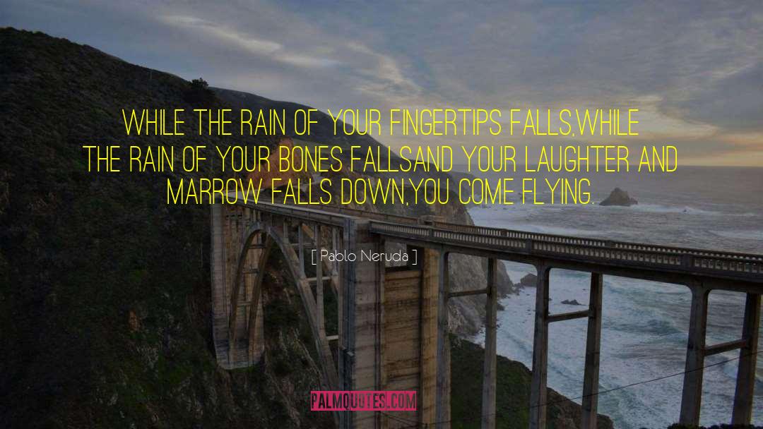 Siipi Falls quotes by Pablo Neruda