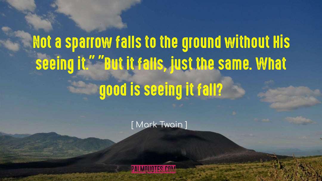 Siipi Falls quotes by Mark Twain