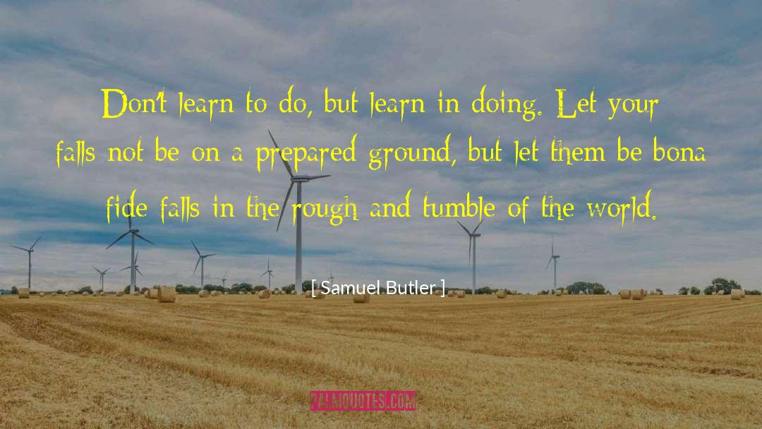 Siipi Falls quotes by Samuel Butler