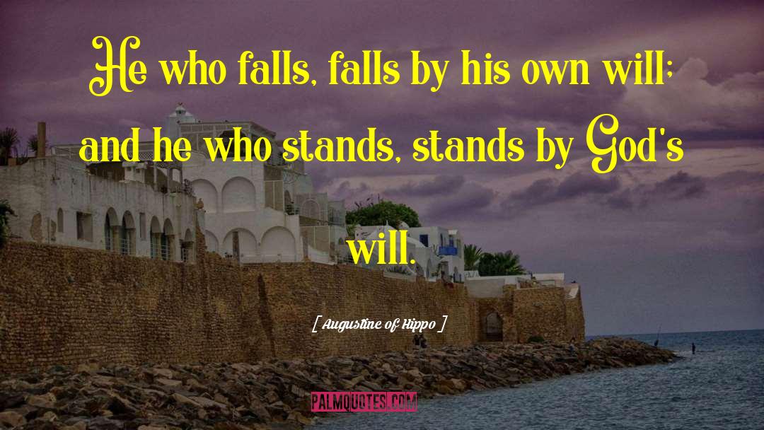 Siipi Falls quotes by Augustine Of Hippo