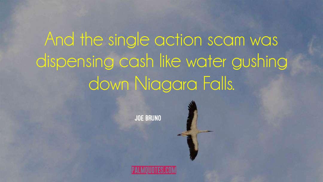 Siipi Falls quotes by Joe Bruno
