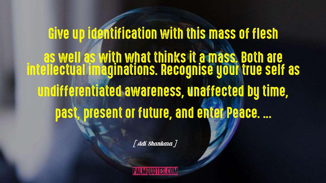 Silence And Peace quotes by Adi Shankara