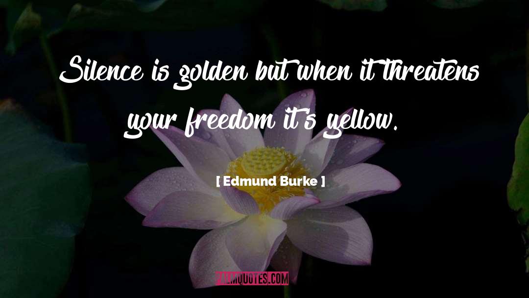 Silence Is Golden quotes by Edmund Burke