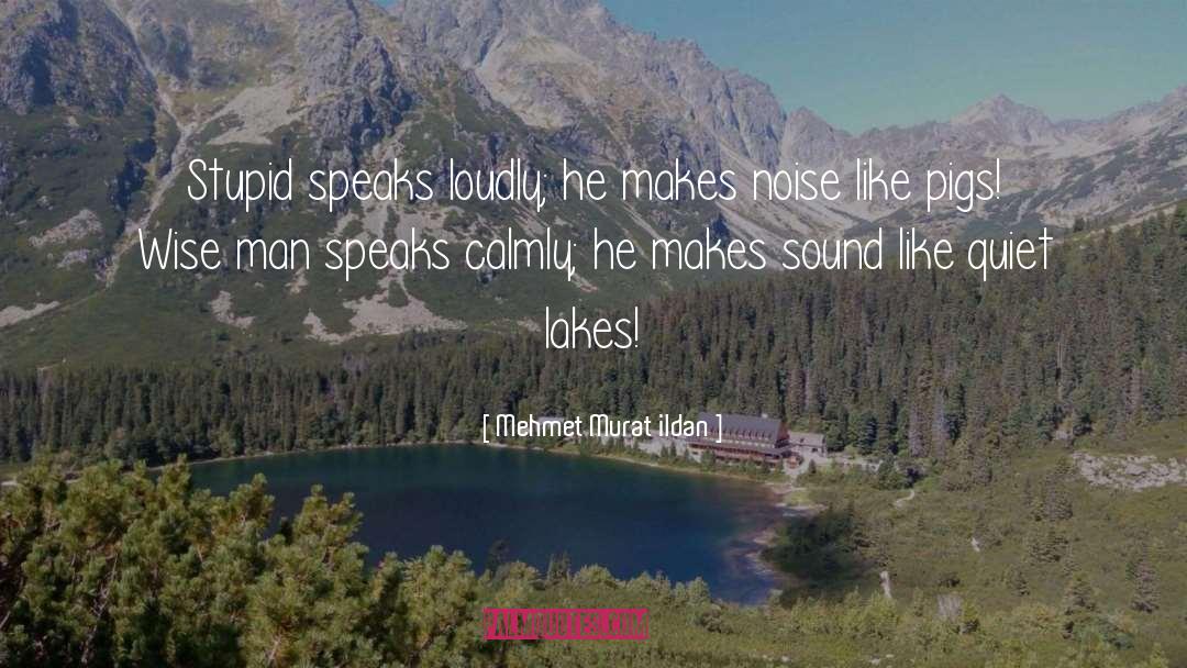 Silence Speaks quotes by Mehmet Murat Ildan