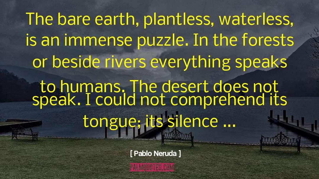 Silence Within quotes by Pablo Neruda