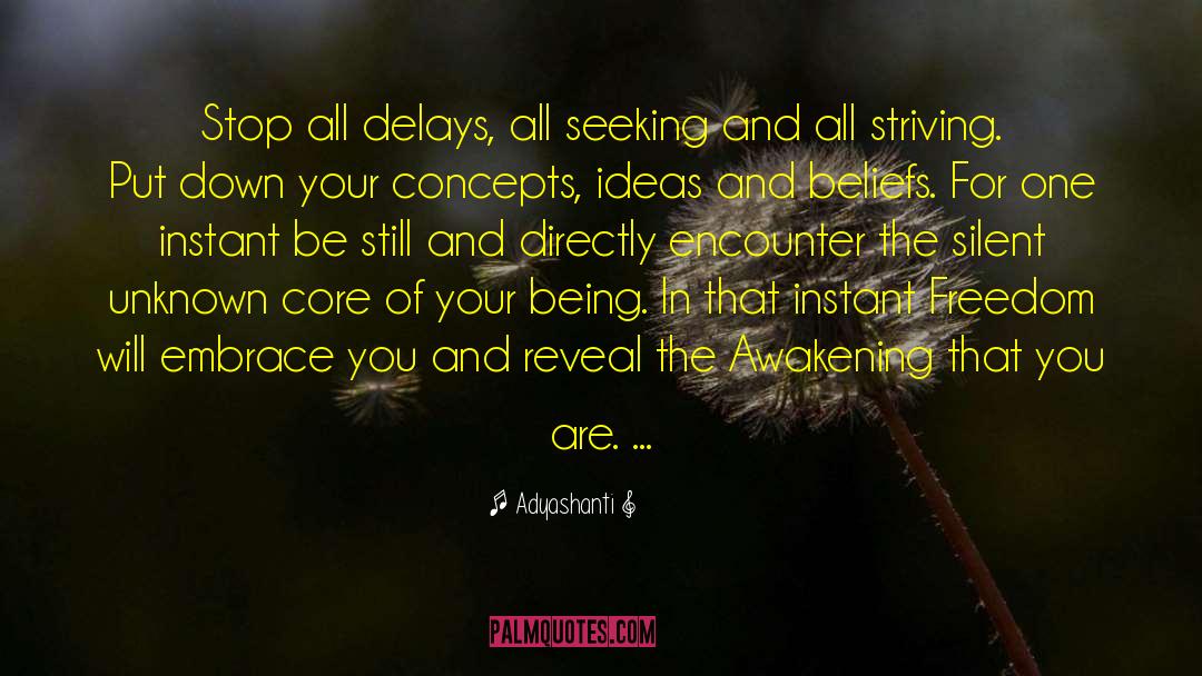 Silent Countdown quotes by Adyashanti