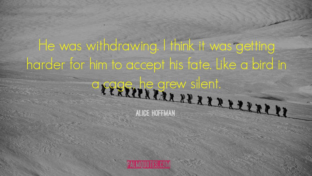 Silent Evidence quotes by Alice Hoffman