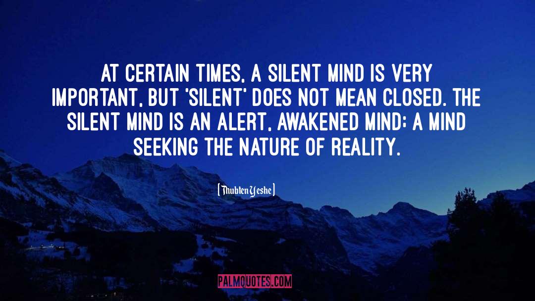 Silent Mind quotes by Thubten Yeshe