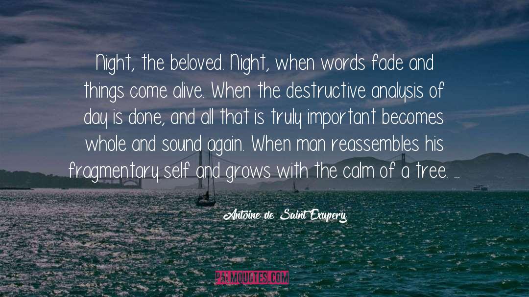 Silent Night quotes by Antoine De Saint Exupery