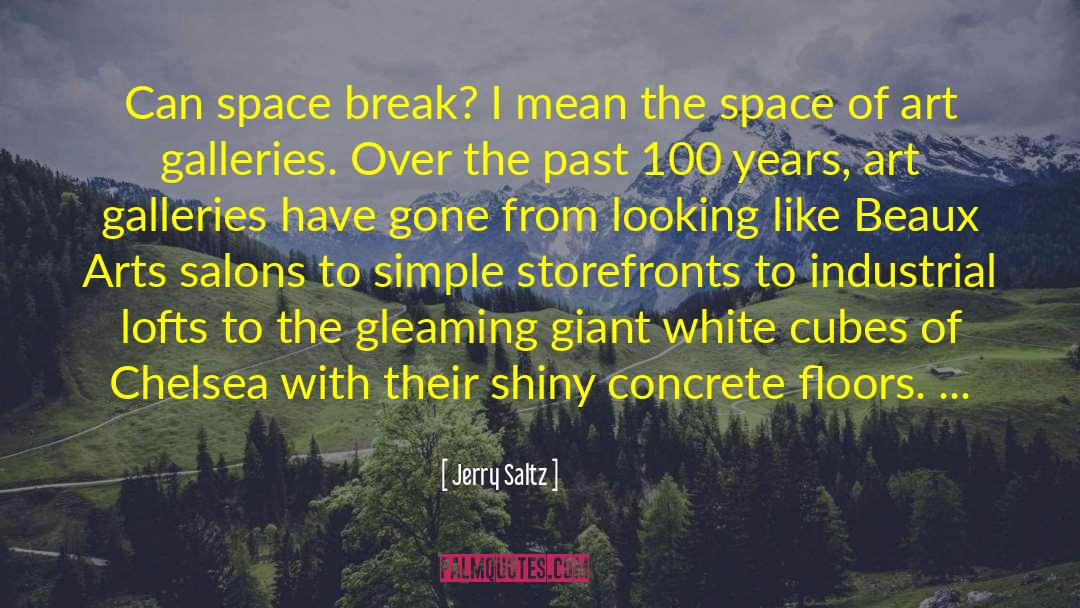 Siliceous Concrete quotes by Jerry Saltz
