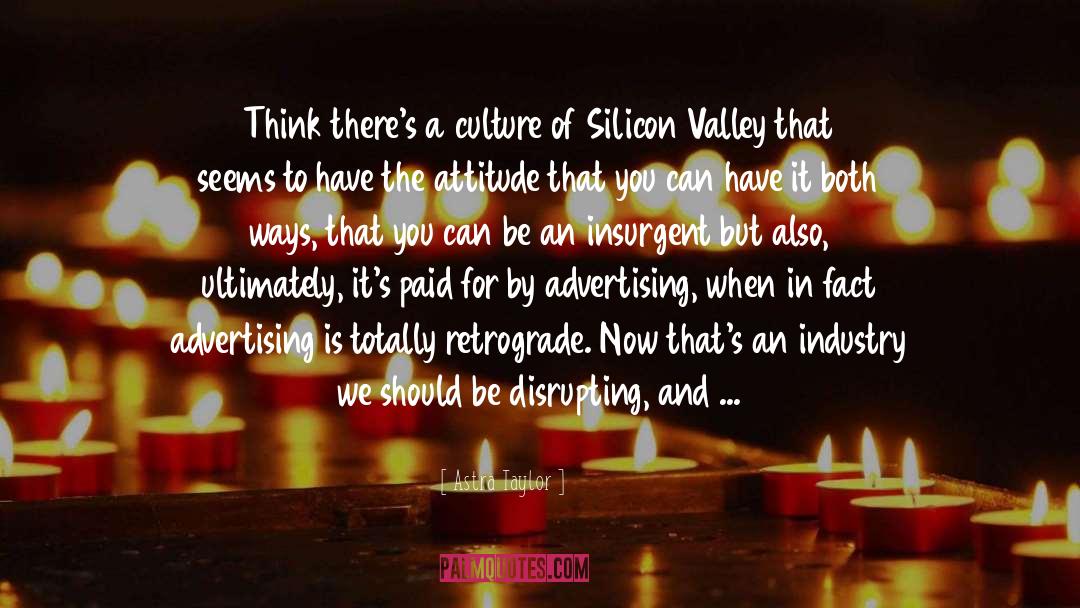 Silicon Valley quotes by Astra Taylor