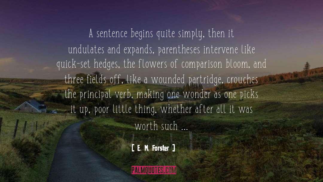 Silk Flowers quotes by E. M. Forster