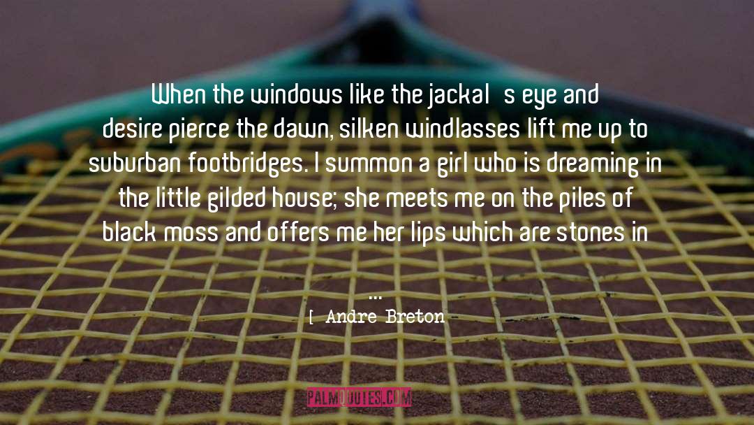 Silken quotes by Andre Breton