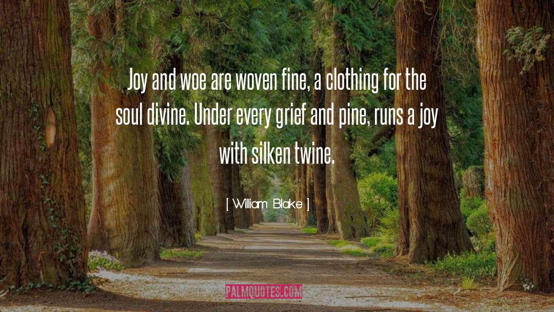 Silken quotes by William Blake