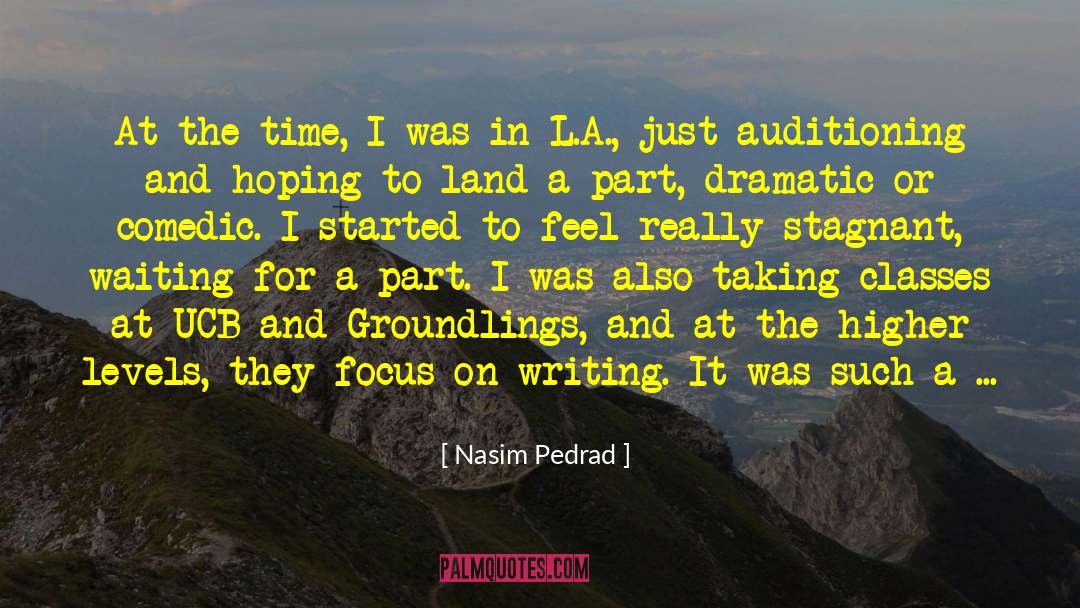 Silly Dramatic quotes by Nasim Pedrad