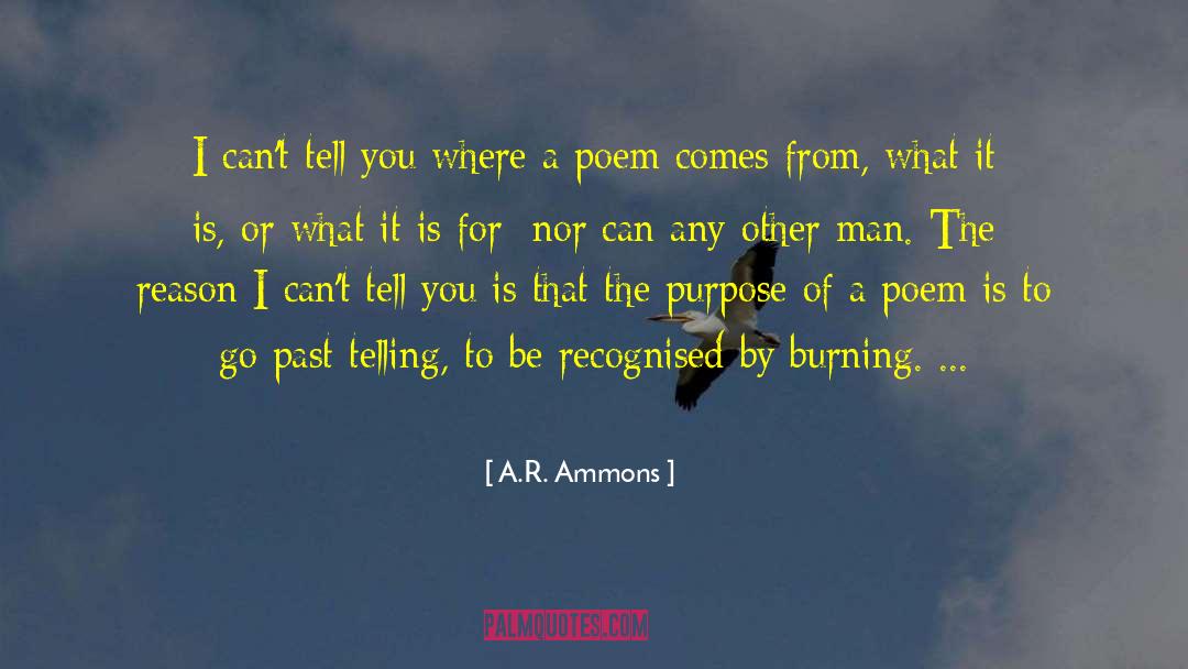 Silly Poem quotes by A.R. Ammons