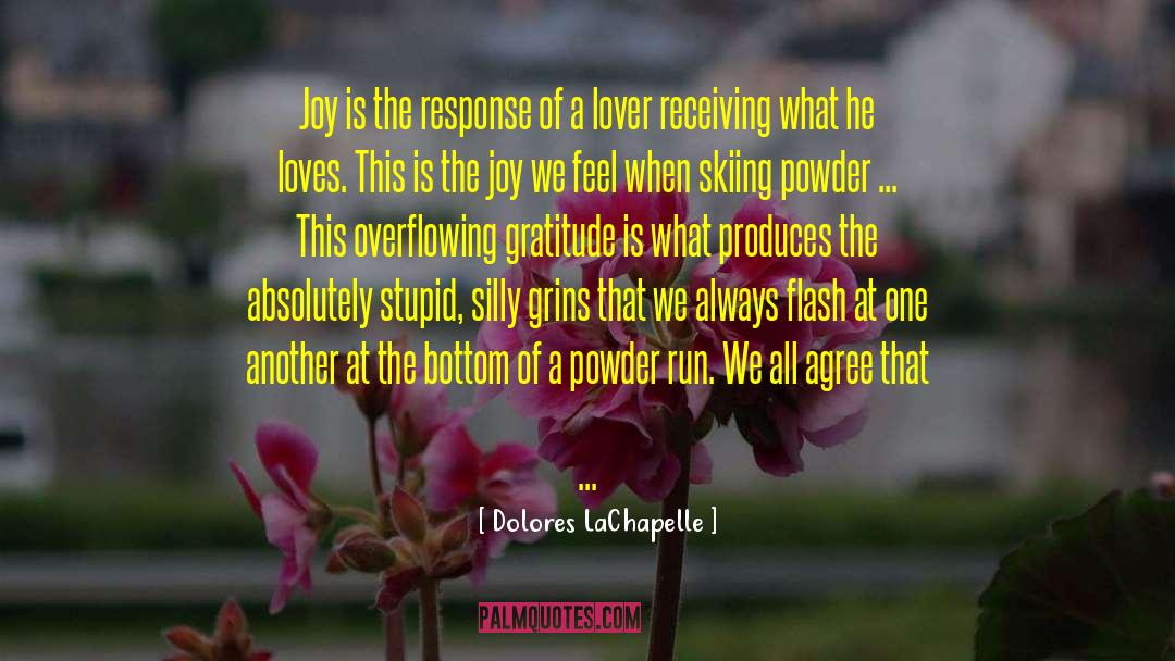 Silly Stupid quotes by Dolores LaChapelle