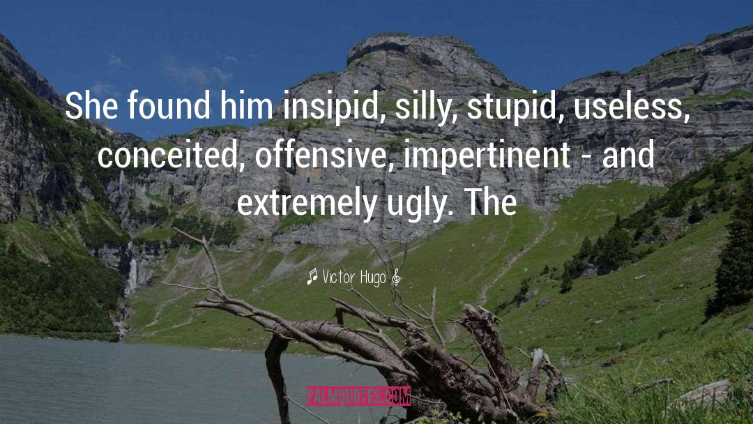 Silly Stupid quotes by Victor Hugo