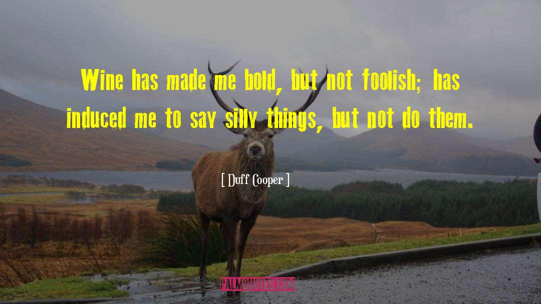 Silly Things quotes by Duff Cooper