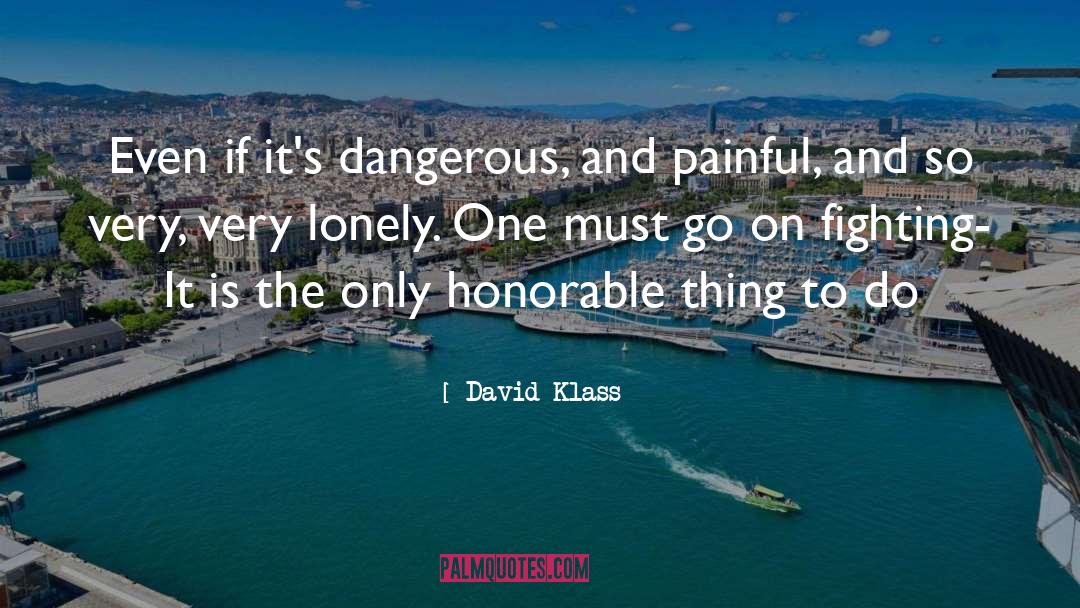 Silly Things quotes by David Klass