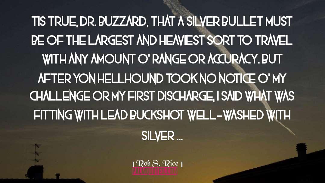 Silver Bullet quotes by Rob S. Rice