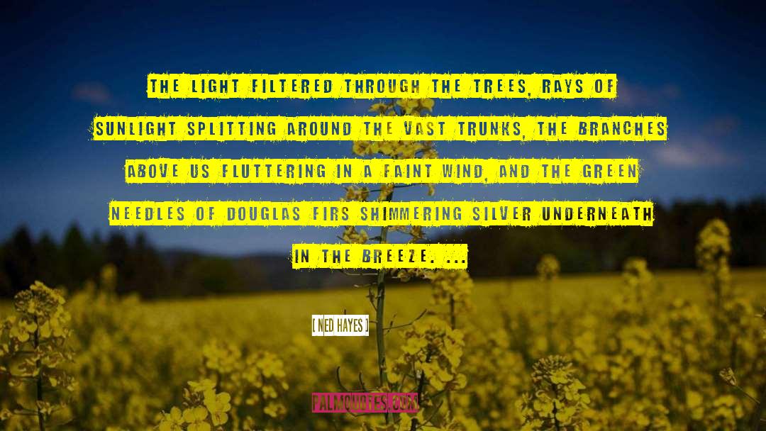 Silver Hollow quotes by Ned Hayes