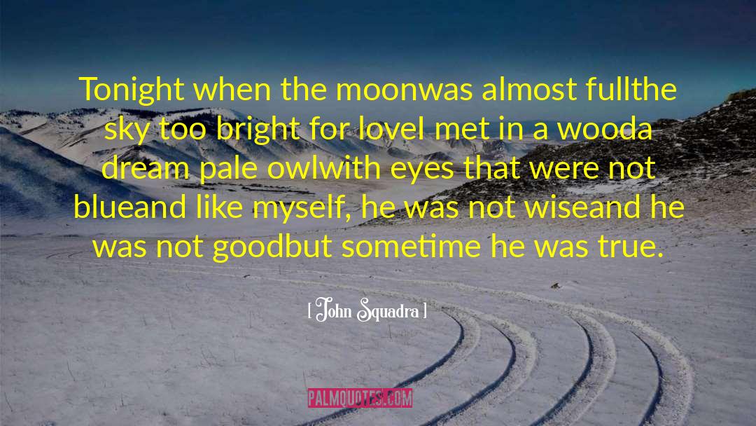 Silver In The Wood quotes by John Squadra