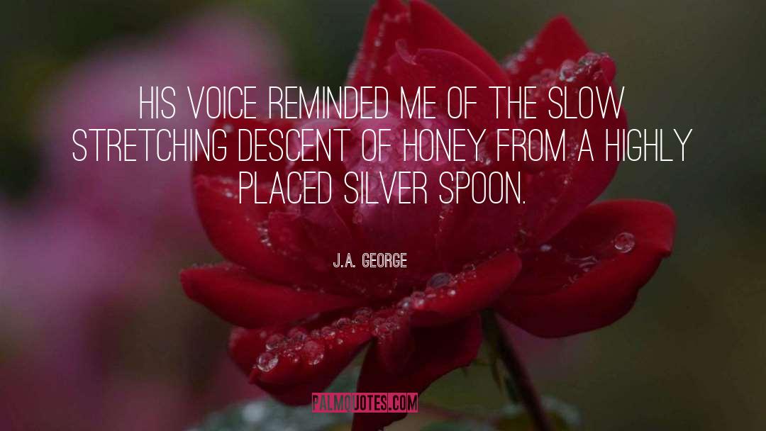 Silver Spoon quotes by J.A. George