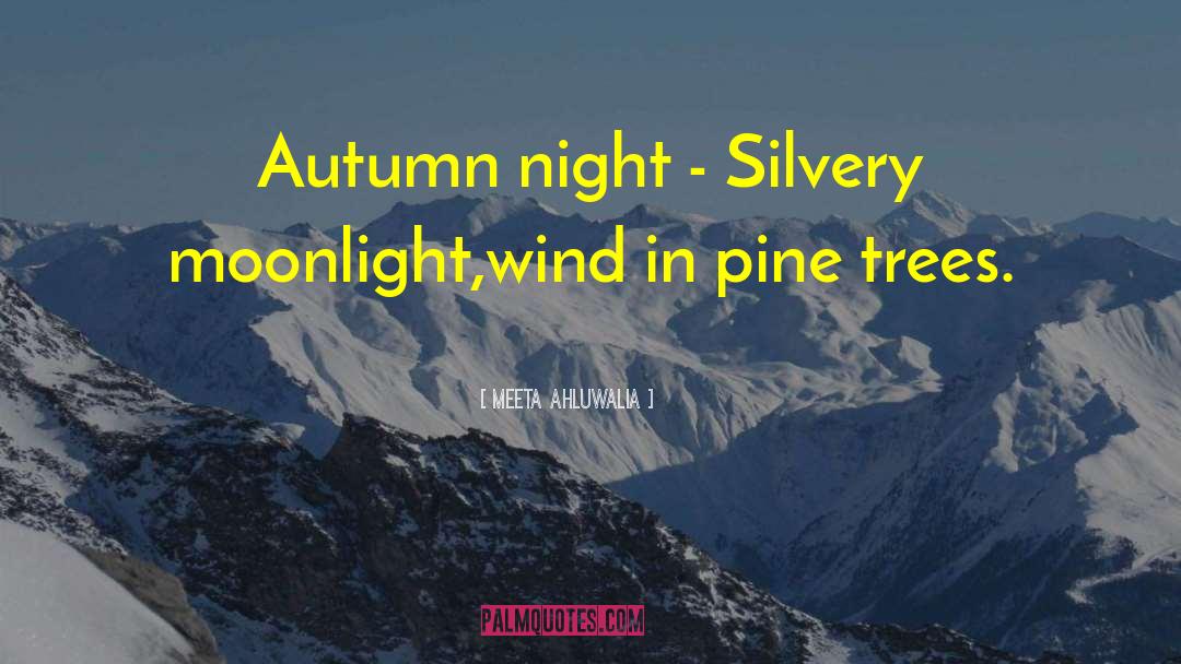 Silvery quotes by Meeta Ahluwalia