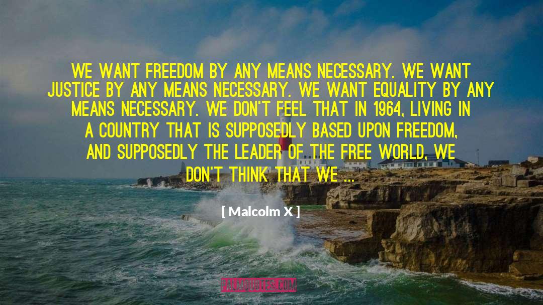 Silvetti Washington quotes by Malcolm X