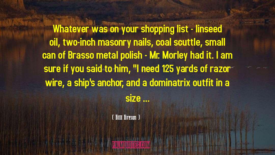 Silvo Metal Polish quotes by Bill Bryson