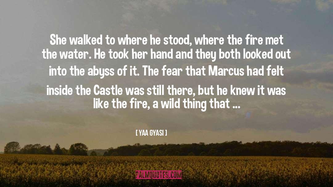 Simancas Castle quotes by Yaa Gyasi