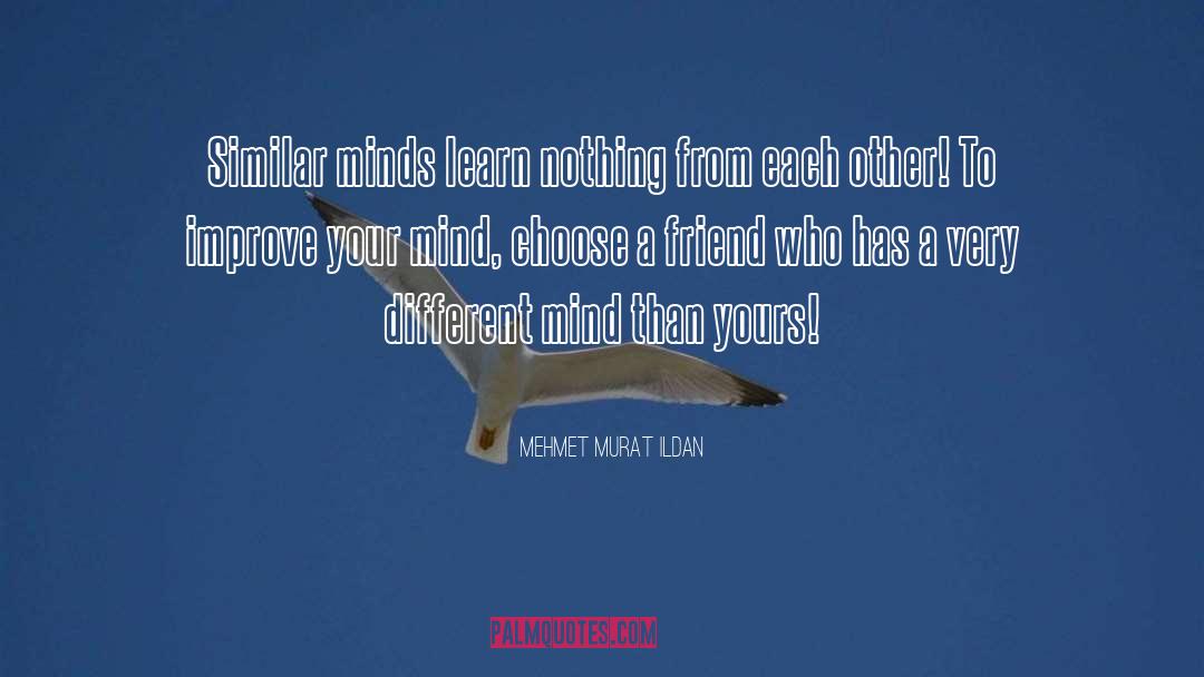 Similar Minds quotes by Mehmet Murat Ildan