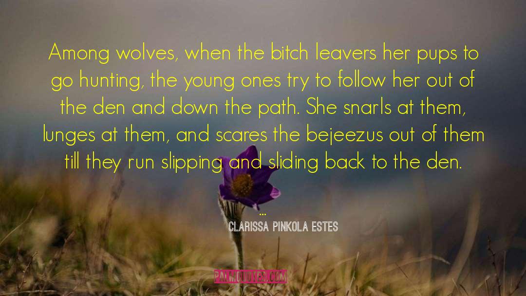 Similars Between Predator Prey quotes by Clarissa Pinkola Estes